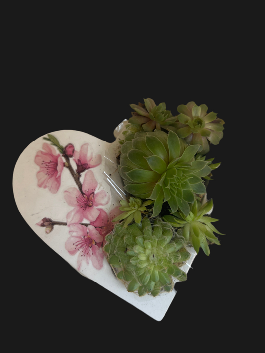 Bepflanztes Herz aus Keramik handgefertigt mit Sukkulenten