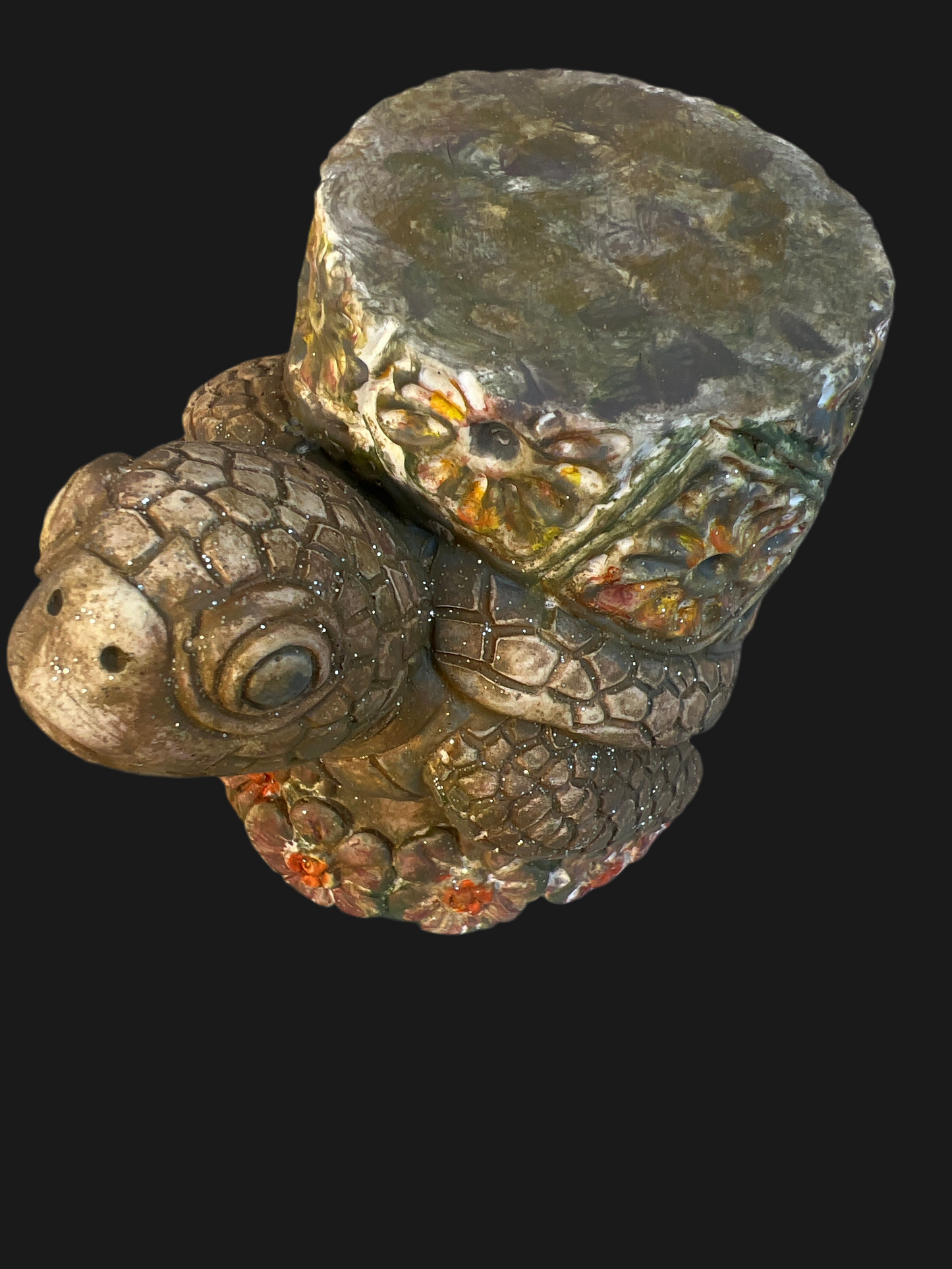 Massive Schildkröte „turtle“